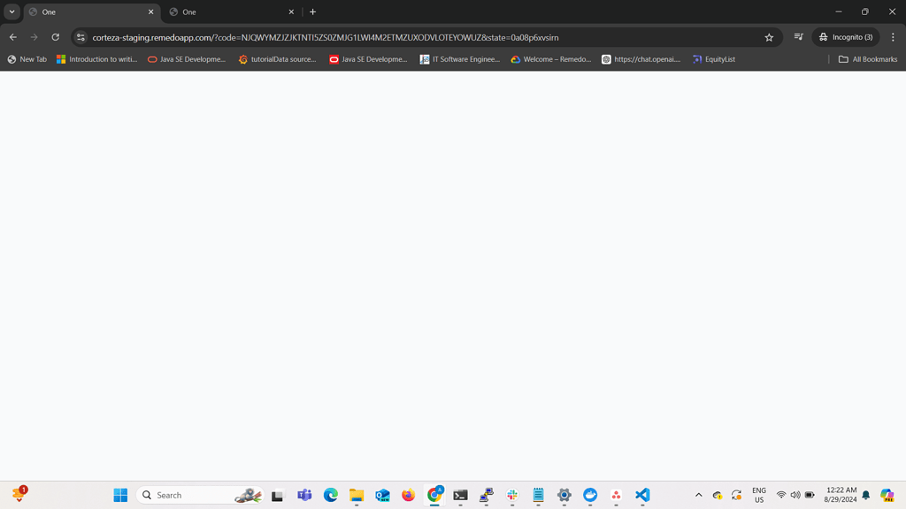 White Screen After Login - 🚧 Installation - Corteza